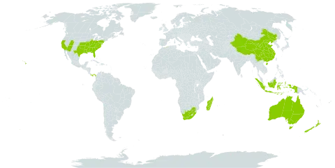 Passiflora world distribution map, present in American Samoa, Australia, China, Algeria, Indonesia, Madagascar, New Zealand, Panama, United States of America, and South Africa