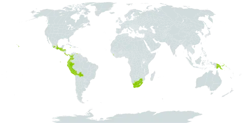 Passiflora ligularis world distribution map, present in Bolivia (Plurinational State of), Colombia, Costa Rica, Ecuador, Guatemala, Honduras, Jamaica, Sri Lanka, Mexico, Panama, Peru, Papua New Guinea, El Salvador, United States of America, Venezuela (Bolivarian Republic of), and South Africa