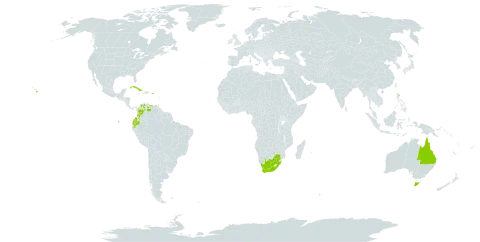 Passiflora maliformis world distribution map, present in American Samoa, Antigua and Barbuda, Australia, Bonaire, Sint Eustatius and Saba, Cook Islands, Colombia, Cuba, Ecuador, Fiji, Guadeloupe, Jamaica, Martinique, Niue, Puerto Rico, Tonga, Trinidad and Tobago, United States of America, Venezuela (Bolivarian Republic of), and South Africa