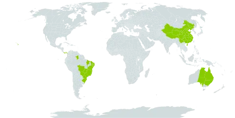 Passiflora suberosa world distribution map, present in Australia, Brazil, China, Panama, and United States of America