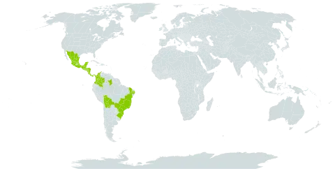 Passiflora suberosa subsp. litoralis world distribution map, present in Belize, Bolivia (Plurinational State of), Brazil, Colombia, Costa Rica, Guatemala, Honduras, Mexico, Nicaragua, Panama, and El Salvador