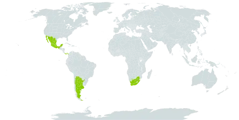 Paullinia world distribution map, present in Argentina, Mexico, Panama, and South Africa