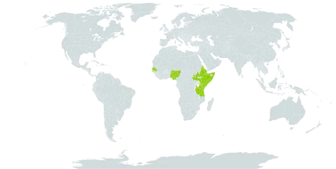 Pavonia arenaria var. microphylla world distribution map, present in Eritrea, Ethiopia, Kenya, Nigeria, Senegal, Somalia, South Sudan, Tanzania, United Republic of, and Uganda