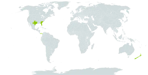 Pavonia world distribution map, present in New Zealand, Panama, and United States of America