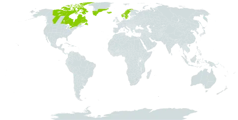 Pedicularis flammea world distribution map, present in Canada, Greenland, Iceland, Norway, and Sweden