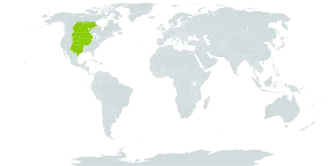 Pediomelum argophyllum world distribution map, present in Canada and United States of America