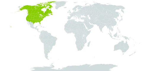 Pediomelum pentaphyllum world distribution map, present in Canada and United States of America