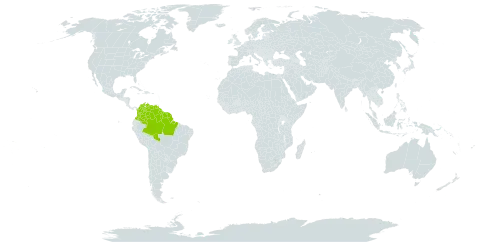 Peltogyne paniculata world distribution map, present in American Samoa, Brazil, Colombia, French Guiana, Guyana, Suriname, and Venezuela (Bolivarian Republic of)