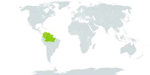 Peltogyne paniculata subsp. pubescens world distribution map, present in American Samoa, Brazil, Colombia, French Guiana, Guyana, Suriname, and Venezuela (Bolivarian Republic of)