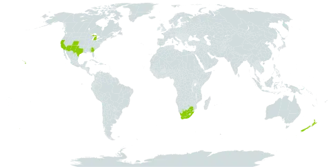 Pennisetum villosum world distribution map, present in New Zealand, United States of America, and South Africa