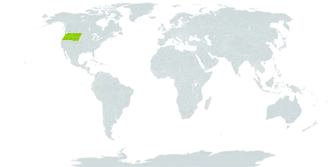 Penstemon attenuatus world distribution map, present in United States of America