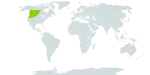 Penstemon confertus world distribution map, present in Canada and United States of America