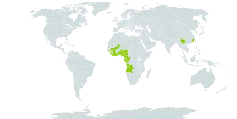 Pentadesma butyracea world distribution map, present in Angola, Benin, Burkina Faso, China, Côte d'Ivoire, Cameroon, Congo, Gabon, Ghana, Guinea, Guinea-Bissau, Equatorial Guinea, Liberia, Mali, Nigeria, Sierra Leone, Sao Tome and Principe, Seychelles, and Togo