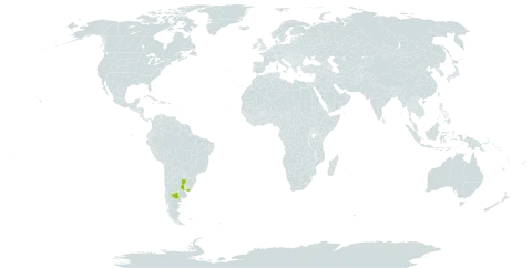 Perezia kingii world distribution map, present in Argentina and Uruguay