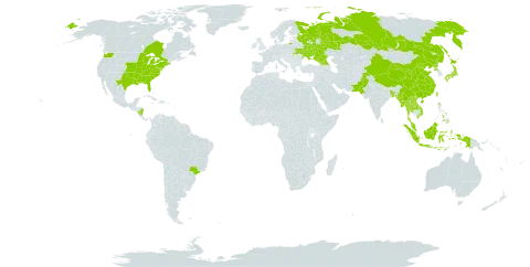 Perilla frutescens world distribution map, present in Åland Islands, Bangladesh, Brazil, Canada, China, Micronesia (Federated States of), Georgia, Indonesia, Japan, Lao People's Democratic Republic, Myanmar, Malaysia, Nicaragua, Nepal, Pakistan, Philippines, Korea (Democratic People's Republic of), Russian Federation, Thailand, Taiwan, Province of China, Ukraine, United States of America, and Viet Nam