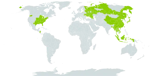 Perilla frutescens var. frutescens world distribution map, present in Åland Islands, Bangladesh, China, Micronesia (Federated States of), Georgia, Indonesia, Japan, Lao People's Democratic Republic, Myanmar, Malaysia, Nicaragua, Nepal, Korea (Democratic People's Republic of), Russian Federation, Thailand, Taiwan, Province of China, Ukraine, United States of America, and Viet Nam