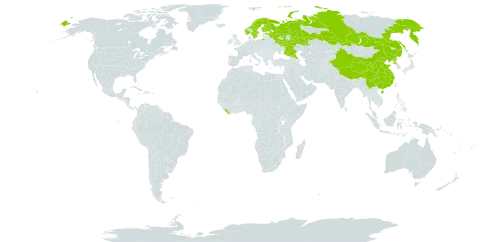 Persicaria foliosa world distribution map, present in China, Estonia, Finland, Liberia, Norway, Korea (Democratic People's Republic of), Russian Federation, and Sweden