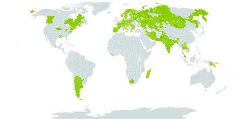 Persicaria minor world distribution map, present in Argentina, Austria, Belgium, Bangladesh, Bulgaria, Bosnia and Herzegovina, Belarus, Canada, Switzerland, Czech Republic, Germany, Denmark, Spain, Estonia, Finland, France, United Kingdom of Great Britain and Northern Ireland, Georgia, Greece, Croatia, Hungary, India, Iran (Islamic Republic of), Italy, Kazakhstan, Lao People's Democratic Republic, Liberia, Liechtenstein, Sri Lanka, Lithuania, Luxembourg, Latvia, Madagascar, North Macedonia, Montenegro, Mongolia, Malaysia, Netherlands, Norway, Nepal, Pakistan, Papua New Guinea, Poland, Portugal, Romania, Russian Federation, Serbia, Slovakia, Slovenia, Sweden, Thailand, Tajikistan, Ukraine, United States of America, Uzbekistan, Viet Nam, and South Africa