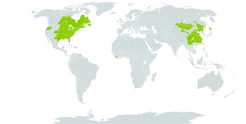 Persicaria sagittata world distribution map, present in Bhutan, Canada, China, Dominican Republic, France, United Kingdom of Great Britain and Northern Ireland, Japan, Liberia, Mongolia, Nepal, Korea (Democratic People's Republic of), Taiwan, Province of China, United States of America, and Venezuela (Bolivarian Republic of)