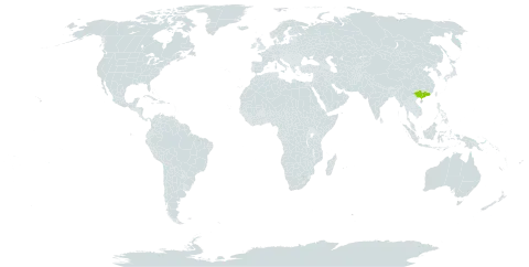 Pertya pungens world distribution map, present in China