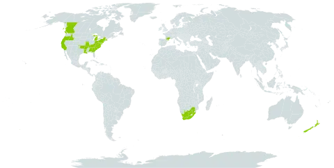 Petrorhagia prolifera world distribution map, present in Canada, France, New Zealand, United States of America, and South Africa