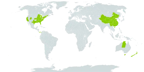 Petunia world distribution map, present in Australia, China, New Zealand, Panama, and United States of America