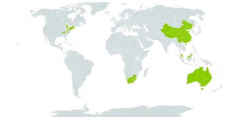 Peucedanum world distribution map, present in Australia, China, Hong Kong, Malaysia, United States of America, and South Africa