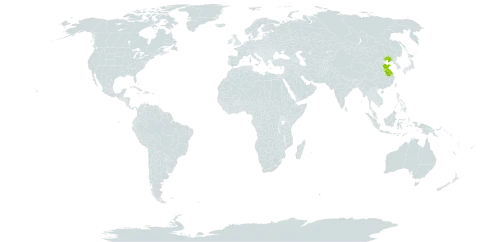 Peucedanum wawrae world distribution map, present in China