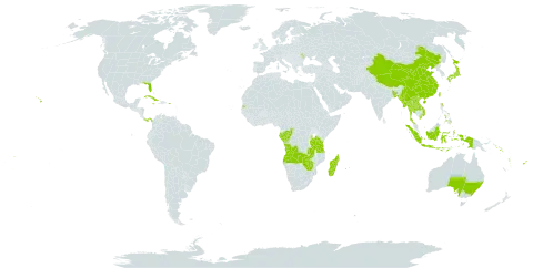 Phaius world distribution map, present in Angola, Australia, Bangladesh, China, Congo, Cook Islands, Cuba, Fiji, Gabon, Indonesia, Jamaica, Japan, Lao People's Democratic Republic, Moldova (Republic of), Madagascar, Myanmar, Mauritius, Nepal, Panama, Philippines, Puerto Rico, Réunion, Solomon Islands, Seychelles, Thailand, Tonga, Taiwan, Province of China, Tanzania, United Republic of, Uganda, United States of America, Viet Nam, Vanuatu, Wallis and Futuna, Samoa, Zambia, and Zimbabwe