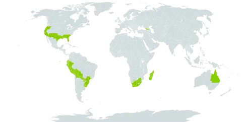 Phalaris angusta world distribution map, present in Åland Islands, Australia, Bolivia (Plurinational State of), Brazil, Ecuador, Georgia, Madagascar, Mauritius, Peru, Paraguay, Uruguay, United States of America, and South Africa