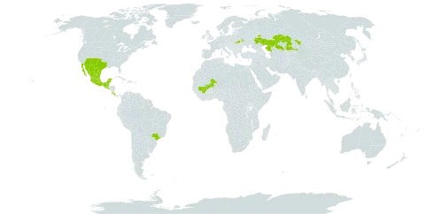 Phaseolus acutifolius world distribution map, present in Brazil, Costa Rica, Guatemala, India, Kazakhstan, Mexico, Mali, Russian Federation, El Salvador, Ukraine, and United States of America