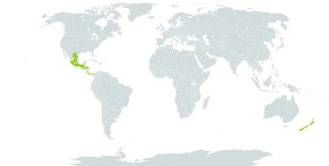 Philadelphus mexicanus world distribution map, present in Costa Rica, Guatemala, Honduras, Mexico, New Zealand, Panama, and El Salvador