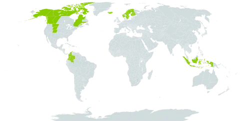 Phippsia algida world distribution map, present in Canada, Colombia, Finland, Indonesia, Iceland, Norway, Svalbard and Jan Mayen, Sweden, and United States of America