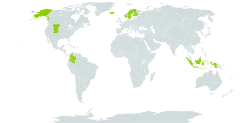 Phippsia world distribution map, present in Colombia, Finland, Indonesia, Iceland, Norway, Svalbard and Jan Mayen, Sweden, and United States of America