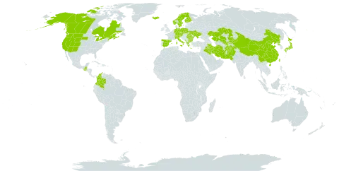 Phleum alpinum world distribution map, present in Afghanistan, Albania, Austria, Bulgaria, Canada, Switzerland, China, Colombia, Czech Republic, Germany, Spain, Finland, France, Micronesia (Federated States of), Greece, Guatemala, Iran (Islamic Republic of), Iraq, Iceland, Italy, Japan, Kazakhstan, Kyrgyzstan, Montenegro, Norway, Nepal, Pakistan, Poland, Korea (Democratic People's Republic of), Romania, Sweden, Turks and Caicos Islands, Taiwan, Province of China, Ukraine, United States of America, and Uzbekistan