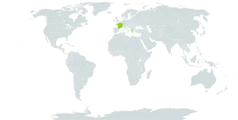 Phleum crypsoides (d'urv.) world distribution map, present in Cyprus, France, and Greece