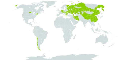 Phlomoides tuberosa world distribution map, present in Albania, Austria, Bulgaria, Chile, China, Czech Republic, Germany, Greece, Hungary, Iran (Islamic Republic of), Kazakhstan, Kyrgyzstan, Montenegro, Romania, Russian Federation, Turks and Caicos Islands, Ukraine, and United States of America