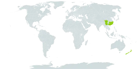 Photinia lasiogyna world distribution map, present in China and New Zealand