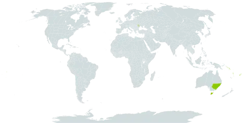 Phreatia micrantha world distribution map, present in Australia, Fiji, Moldova (Republic of), Solomon Islands, Tonga, United States of America, Vanuatu, Wallis and Futuna, and Samoa