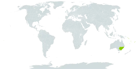 Phreatia paleata world distribution map, present in Australia, Fiji, Norfolk Island, Solomon Islands, Vanuatu, and Samoa