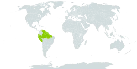 Phyllanthus attenuatus world distribution map, present in Brazil, Ecuador, Guyana, Peru, Suriname, and Venezuela (Bolivarian Republic of)