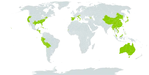 Phyllostachys world distribution map, present in Åland Islands, Australia, Austria, Bolivia (Plurinational State of), China, Cook Islands, Costa Rica, Cuba, Ecuador, Spain, Georgia, Guatemala, Honduras, Italy, Japan, Lao People's Democratic Republic, Myanmar, Malaysia, Nicaragua, Peru, Philippines, Puerto Rico, Korea (Democratic People's Republic of), Seychelles, Turks and Caicos Islands, Taiwan, Province of China, United States of America, and Viet Nam