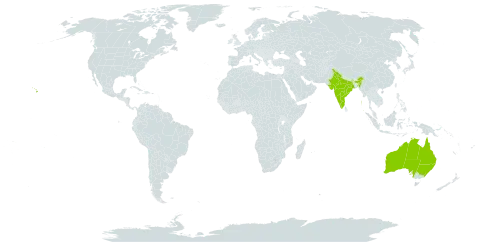 Phymatosorus grossus world distribution map, present in American Samoa, Australia, Fiji, India, Pitcairn, Tonga, and United States of America