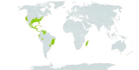 Physalis cordata world distribution map, present in Anguilla, Bahamas, Brazil, Barbados, China, Colombia, Costa Rica, Cuba, Dominica, Ecuador, Guadeloupe, Guatemala, Honduras, Jamaica, Madagascar, Mexico, Nicaragua, Panama, Puerto Rico, Turks and Caicos Islands, Trinidad and Tobago, United States of America, and Venezuela (Bolivarian Republic of)