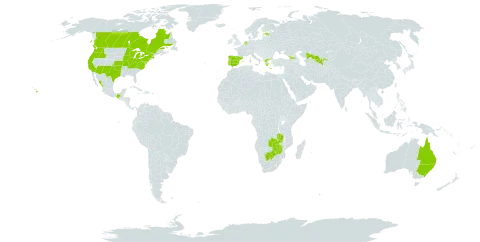 Physalis ixocarpa world distribution map, present in Australia, Botswana, Canada, Spain, Estonia, Georgia, Greece, Mexico, Netherlands, Portugal, United States of America, Uzbekistan, Zambia, and Zimbabwe