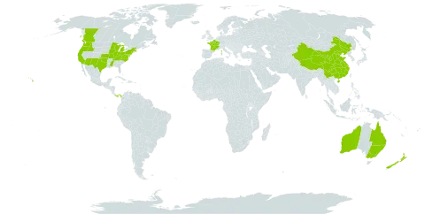 Physalis philadelphica world distribution map, present in Australia, Canada, China, France, New Zealand, Panama, and United States of America