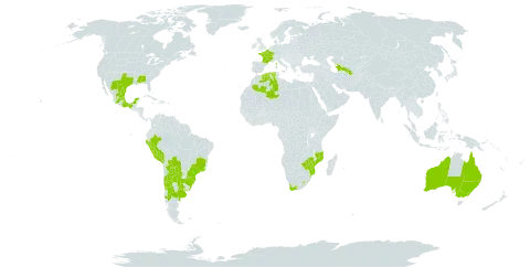 Physalis viscosa world distribution map, present in Argentina, Australia, Bolivia (Plurinational State of), Brazil, Chile, Algeria, France, Lesotho, Mexico, Mozambique, Peru, Paraguay, Turkmenistan, Uruguay, United States of America, South Africa, and Zimbabwe