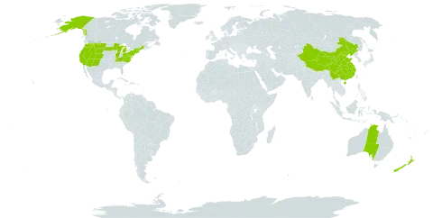 Picea world distribution map, present in Australia, China, New Zealand, and United States of America