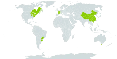 Picea abies world distribution map, present in Australia, Brazil, Canada, China, France, and United States of America