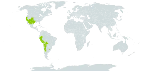 Picradeniopsis multiflora world distribution map, present in Argentina, Bolivia (Plurinational State of), Chile, Mexico, Peru, Uruguay, and United States of America